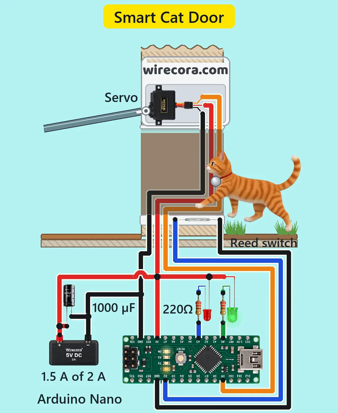 A cut-away house wall with a cat door: an orange cat with a magnet tag on its collar walks through the tunnel under the flap, which an MG995 servo in the white wirecora.com housing has lifted. A reed switch sits in the sill, and below the floor are an Arduino Nano, a red and a green LED with 220 ohm resistors, a 1000 uF capacitor and a 5 V 2 A supply