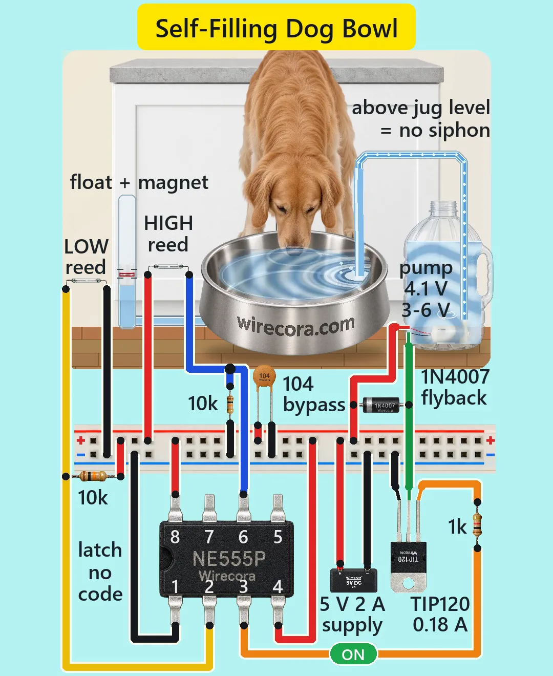 A golden retriever drinking from a steel wirecora.com bowl on a kitchen floor while water pours into it from a clear tube fed by a pump in a water jug; beside the bowl a clear tube with a float and magnet passes a LOW and a HIGH reed switch, and below on a breadboard power rail are an NE555P, two 10 k resistors, a 1 k resistor, a 104 bypass capacitor, a TIP120, a 1N4007 flyback diode and a 5 V 2 A supply, with a green ON pill
