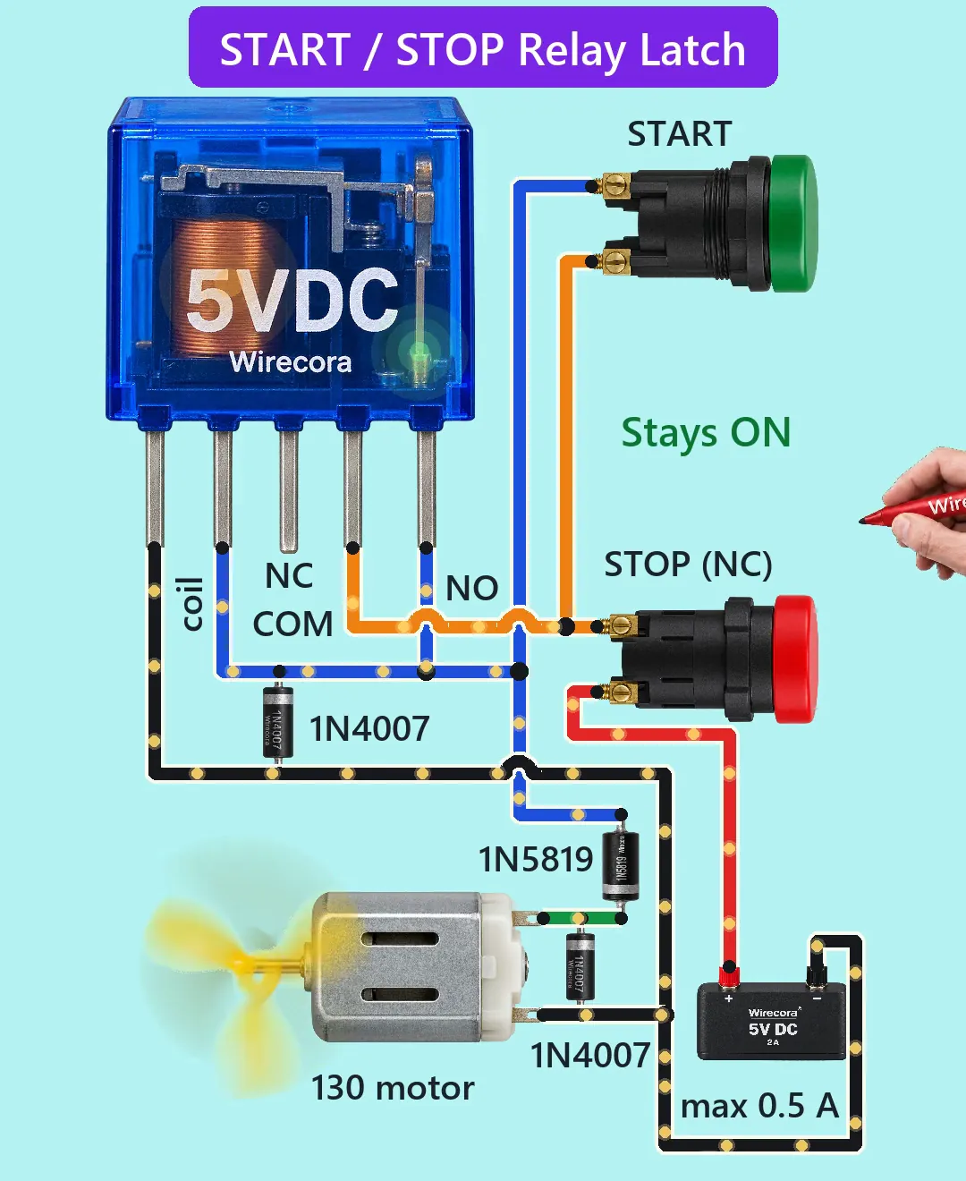 A clear blue relay printed 5VDC and Wirecora with its coil glowing, a green START button and a red STOP (NC) button lying on their sides, a 130 motor spinning a yellow propeller, two 1N4007 diodes and a 1N5819, a 5 V 2 A supply with the label max 0.5 A beside it, wires with moving current dots, the words Stays ON, and a hand with a red marker on its way to STOP